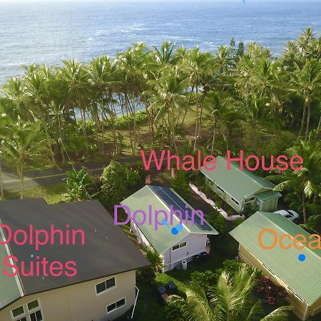 Whale House at Kehena Beach Pahoa Exterior foto