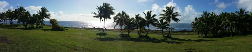 Whale House at Kehena Beach Pahoa Zimmer foto