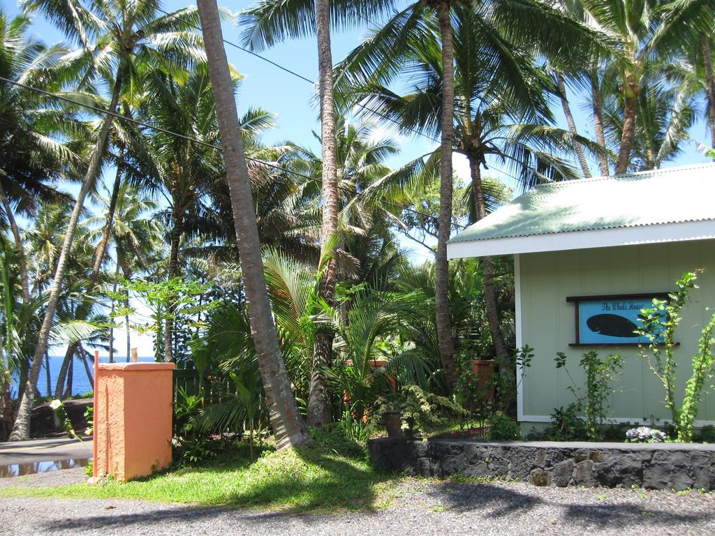 Whale House at Kehena Beach Pahoa Zimmer foto