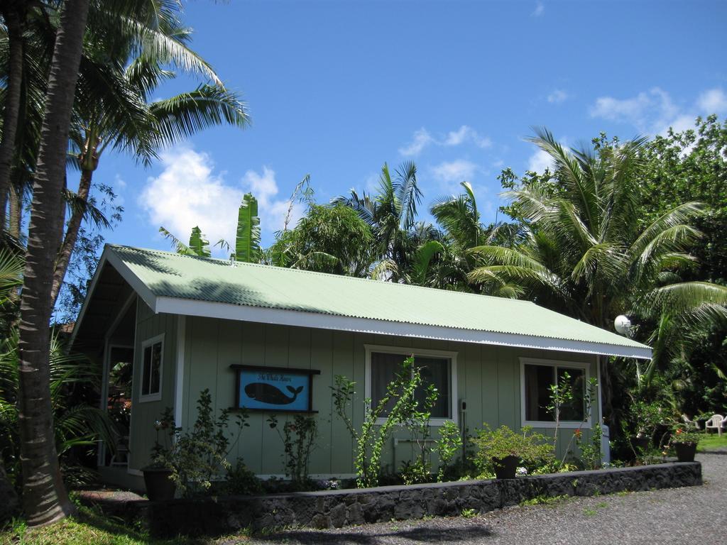 Whale House at Kehena Beach Pahoa Zimmer foto