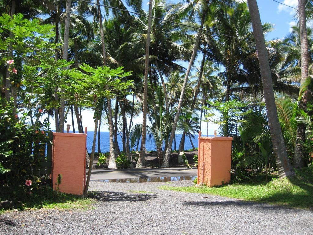 Whale House at Kehena Beach Pahoa Zimmer foto